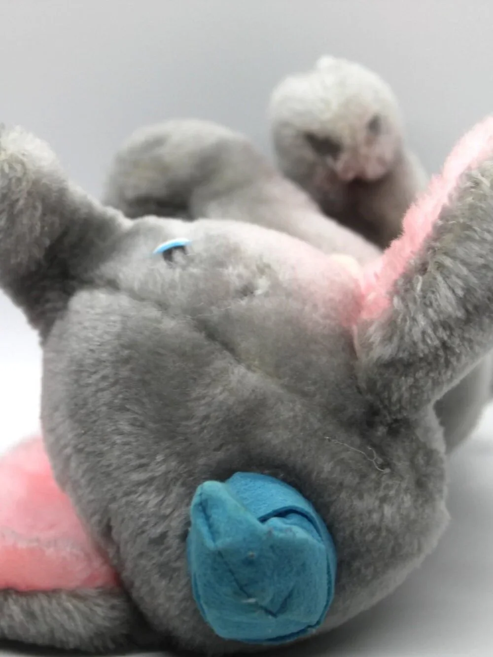 Disney Disneyland Dumbo the Elephant Plush Stuffed Animal Toy 10